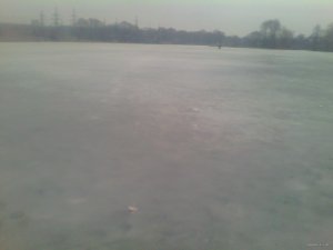 сегодня 0.3 0.3 009.jpg