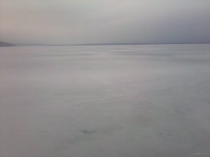 IMG_20150305_164620.jpg