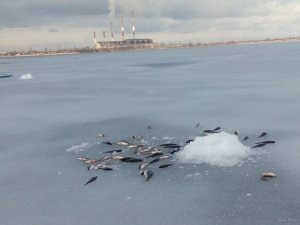 DSC_0305.jpg