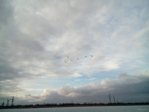 DSC_0309.jpg