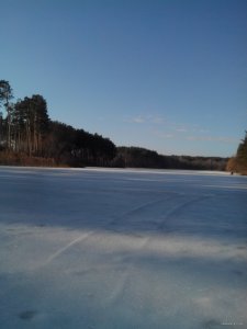 IMG_20150307_080304.jpg
