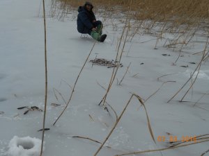 DSCN2928.JPG