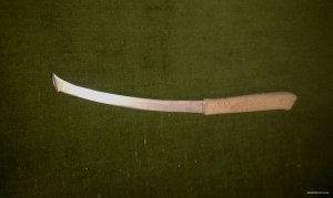 IMAG1095.jpg