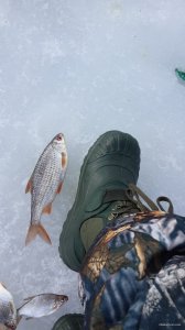 20150307_133626.jpg