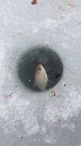 20150307_123849.jpg
