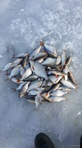 20150307_153718.jpg