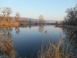 DSCN0761.JPG