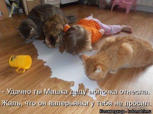 kotomatritsa_Ou.jpg