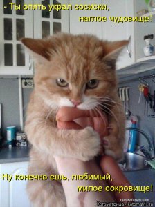 kotomatritsa_pI.jpg