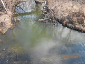 DSCN2964.JPG