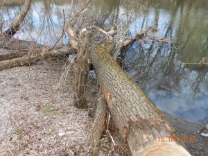 DSCN2965.JPG
