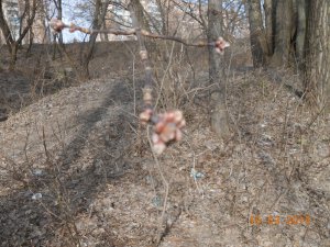 DSCN2967.JPG
