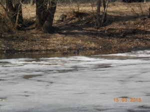 DSCN2978.JPG