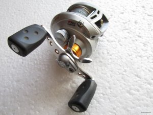 IMG_1709.jpg