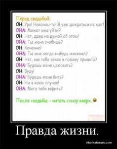 mD_-hD1dRVA.jpg