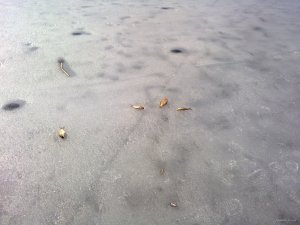 15032015717.jpg