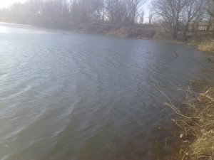 07022009958.jpg