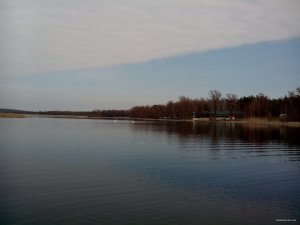 IMG_20150320_113814.jpg