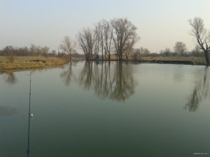 2015-03-22 07.19.39.jpg
