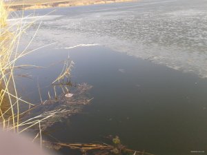 2015-03-21 14.43.38.jpg