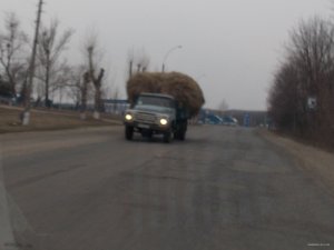 RSCN2564.JPG