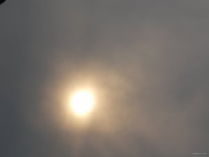 DSCN2537.JPG