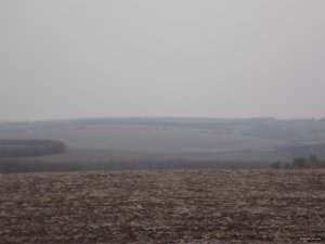DSCN2548.JPG