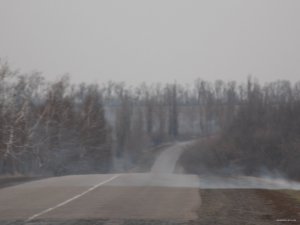 DSCN2550.JPG