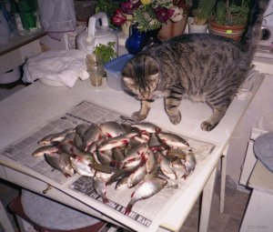 Мерчик май 2000 7.jpg
