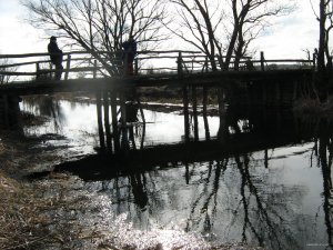 IMG_0926.JPG