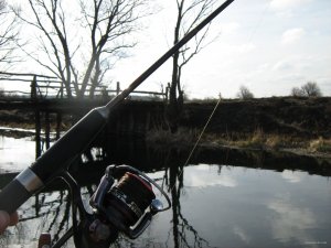 IMG_0922.JPG