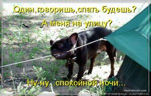 kotomatritsa_xT.jpg
