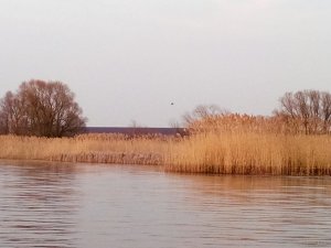 IMG_20150327_165238.jpg
