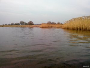 IMG_20150327_165244.jpg