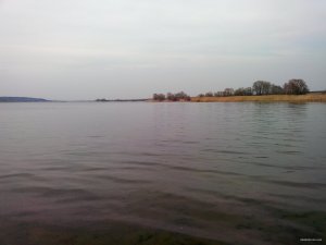 IMG_20150327_165249.jpg