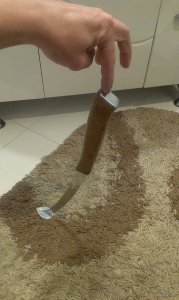 IMAG1132.jpg