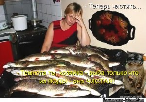kotomatritsa_Bp.jpg