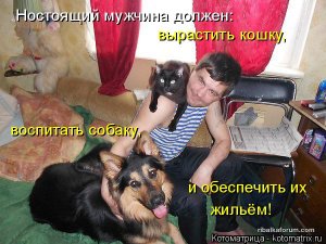 kotomatritsa_f.jpg