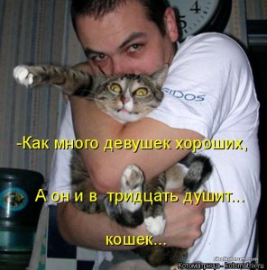 kotomatritsa_PE.jpg