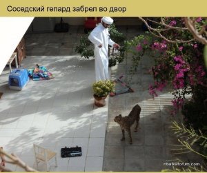 ZBSRxdqYuK0.jpg