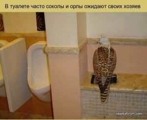 tjBMBj0pqEk.jpg