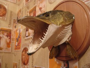 IMG_6022.JPG