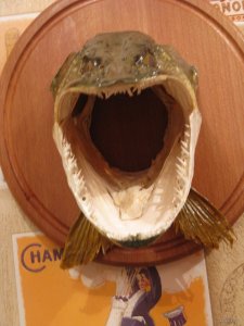 IMG_6032.JPG