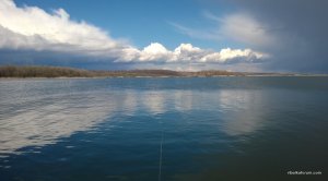 WP_20150405_090.jpg