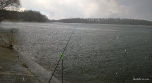 WP_20150405_060.jpg