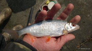 WP_20150405_052.jpg