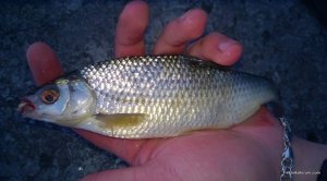 WP_20150405_109.jpg