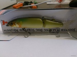 DSC_0421.JPG