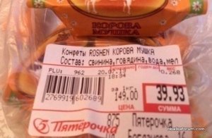 mQQurYa8KQ8.jpg