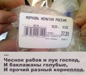 3fcafYevNbg.jpg